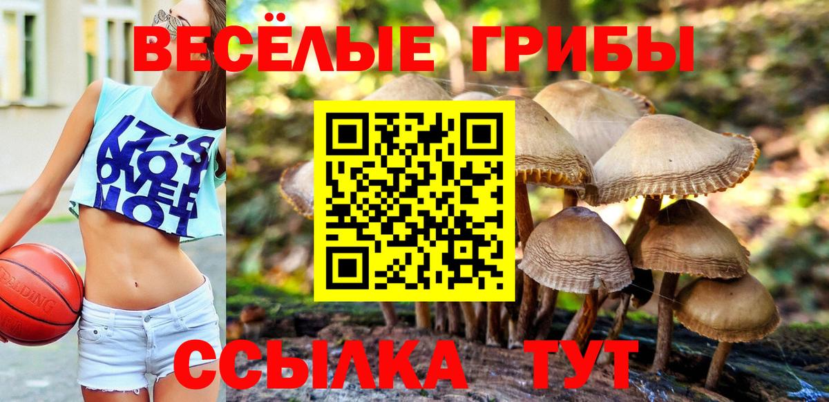 Галлюциногенные грибы прущие грибы  закладка  Псилоцибиновые грибы Magic Shrooms  Калининград  Вход с VPN 